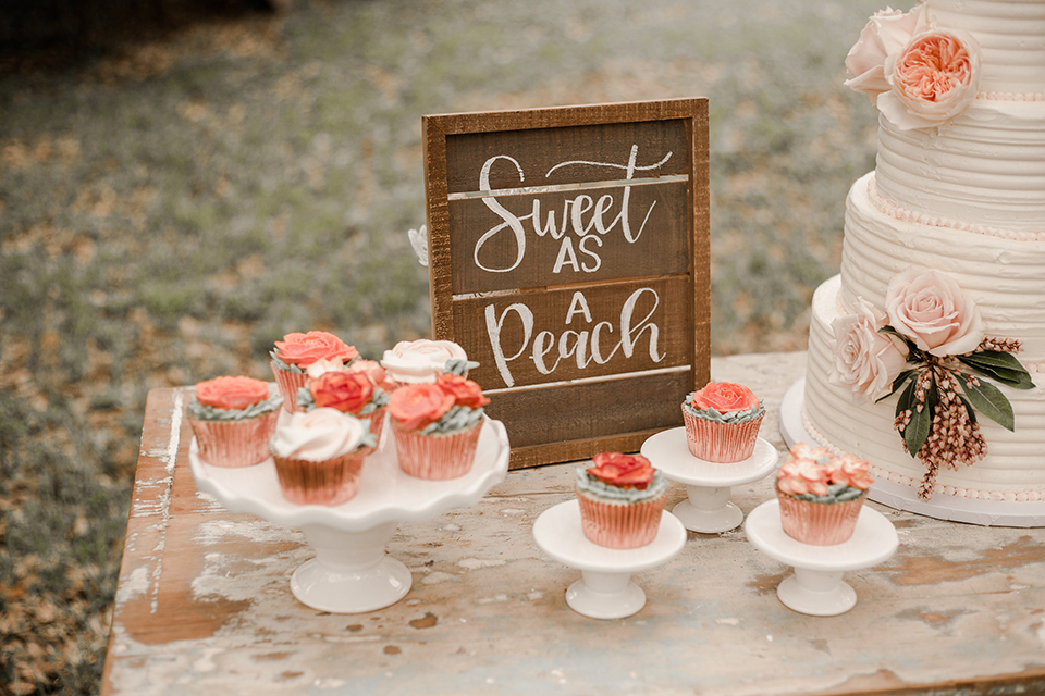 Texas-peaches-and-cream-wedding-shoot-at-carola-horse-ranch-wedding-dessert-table