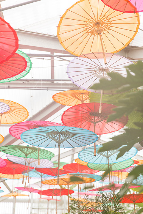 Sherman-library-and-gardens-barn-colorful-umbrellas