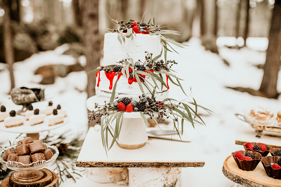 Arizona-Elopement-Shoot-cake-with-a-natural-frosted-detail-and-berries