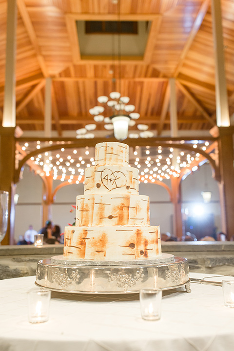  cake that looks like a tree bark as the detailing