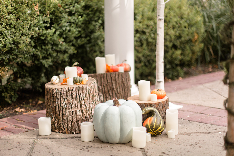 pumpkin decor