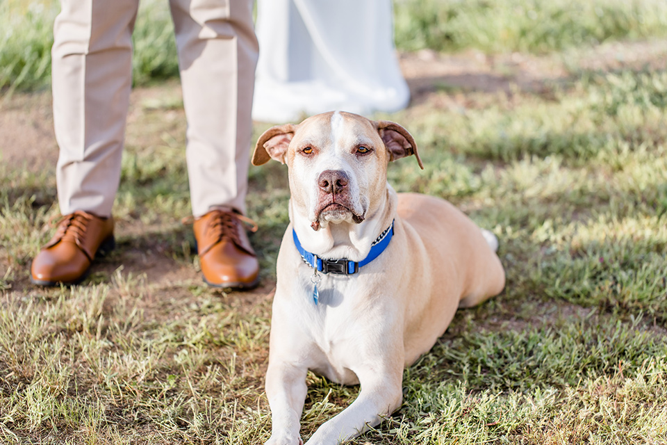  bride in a lace gown with thin straps and beaded bodice, the groom in a blue suit coat and tan pants with a white long tie 