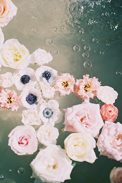  flowers in pond 