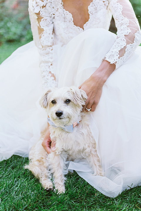  a gold and navy wedding at kestrel park with the groom in a navy tuxedo and the bride in a lace ballgown with long sleeves 